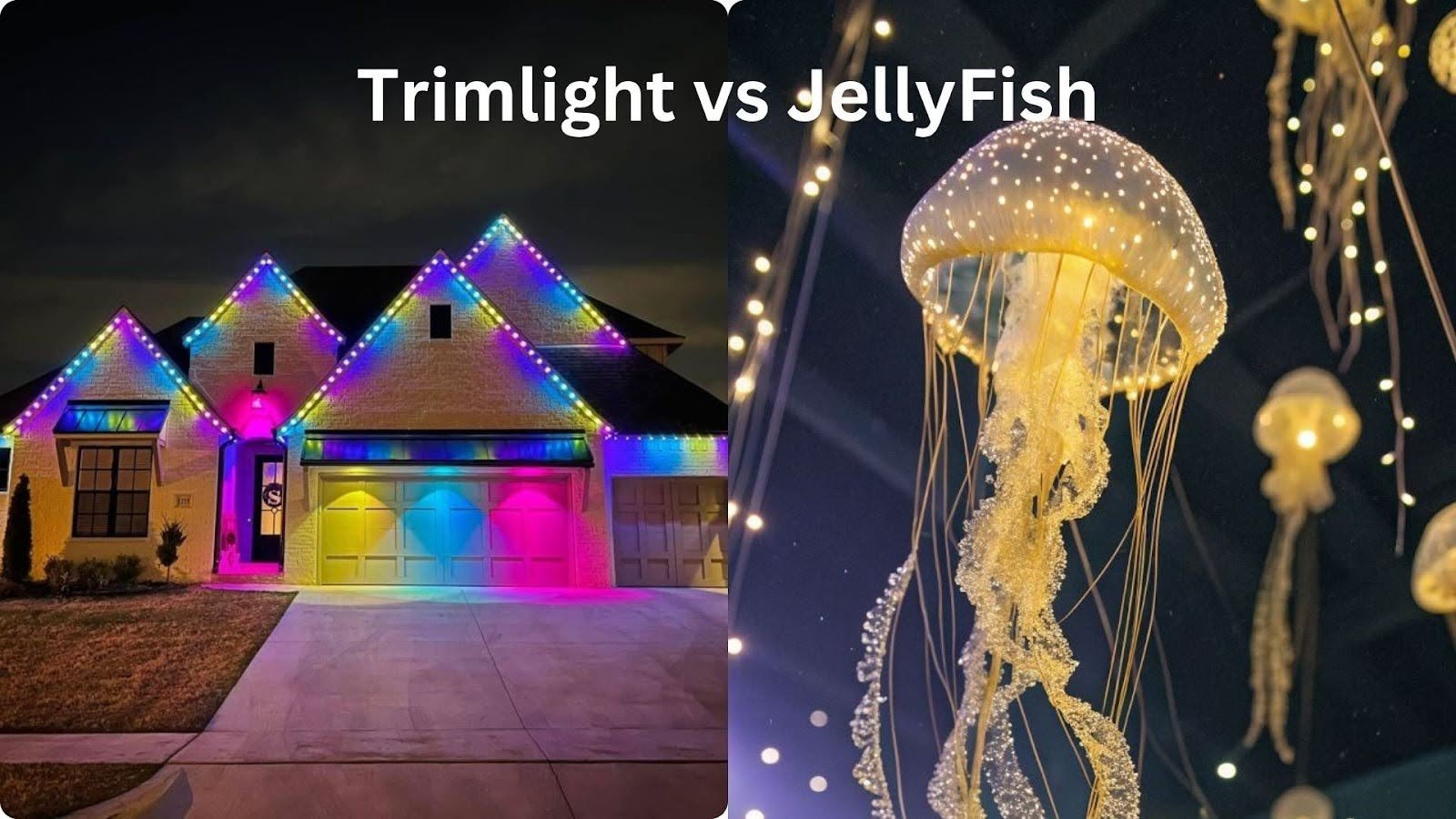 Trimlight vs JellyFish
